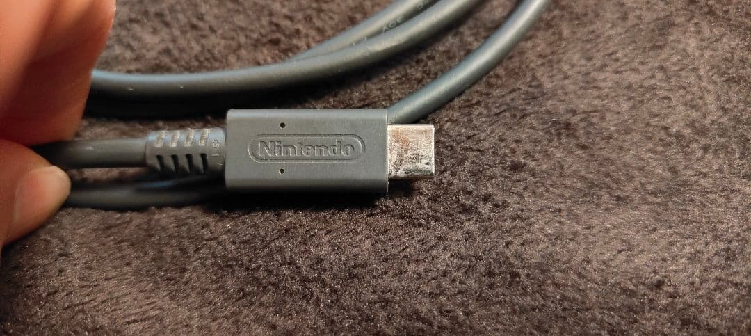 Nintendo Switch NINTENDO SWITCH LITE ザ…