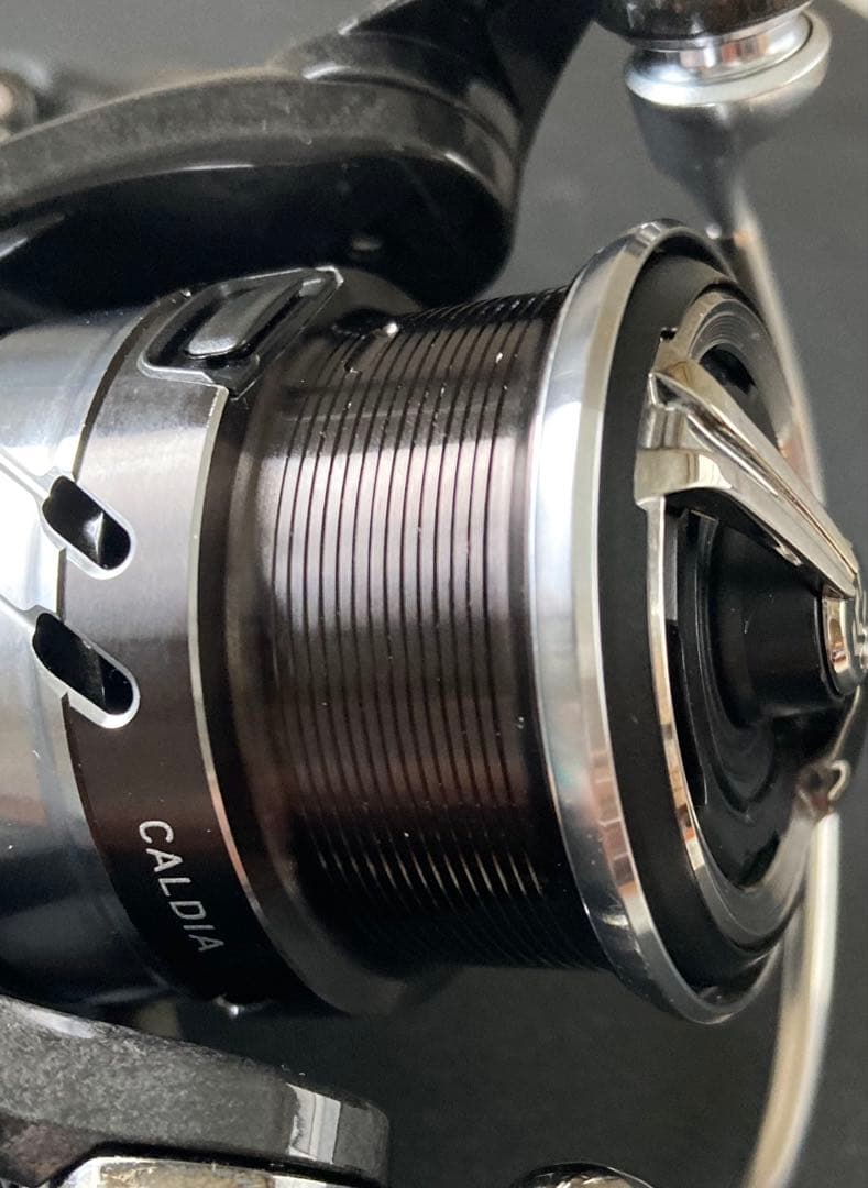 ダイワ 18 カルディア LT 1000S-P