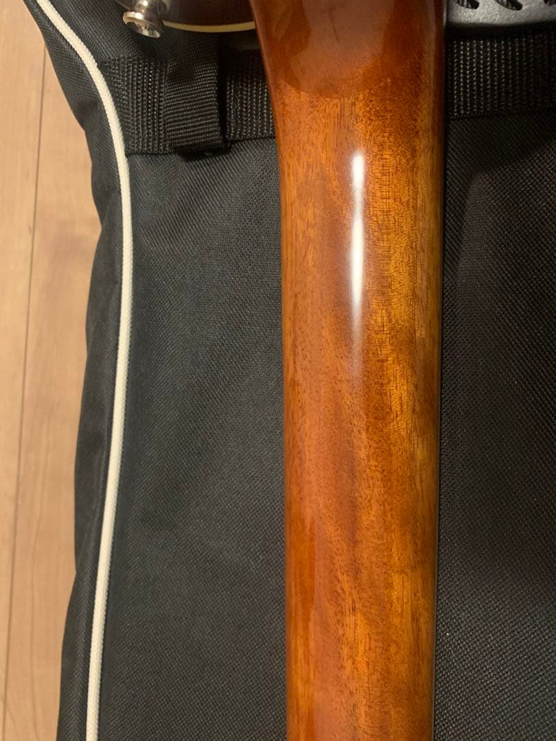 ギター Epiphone Les Pau Standard 60s Quilt