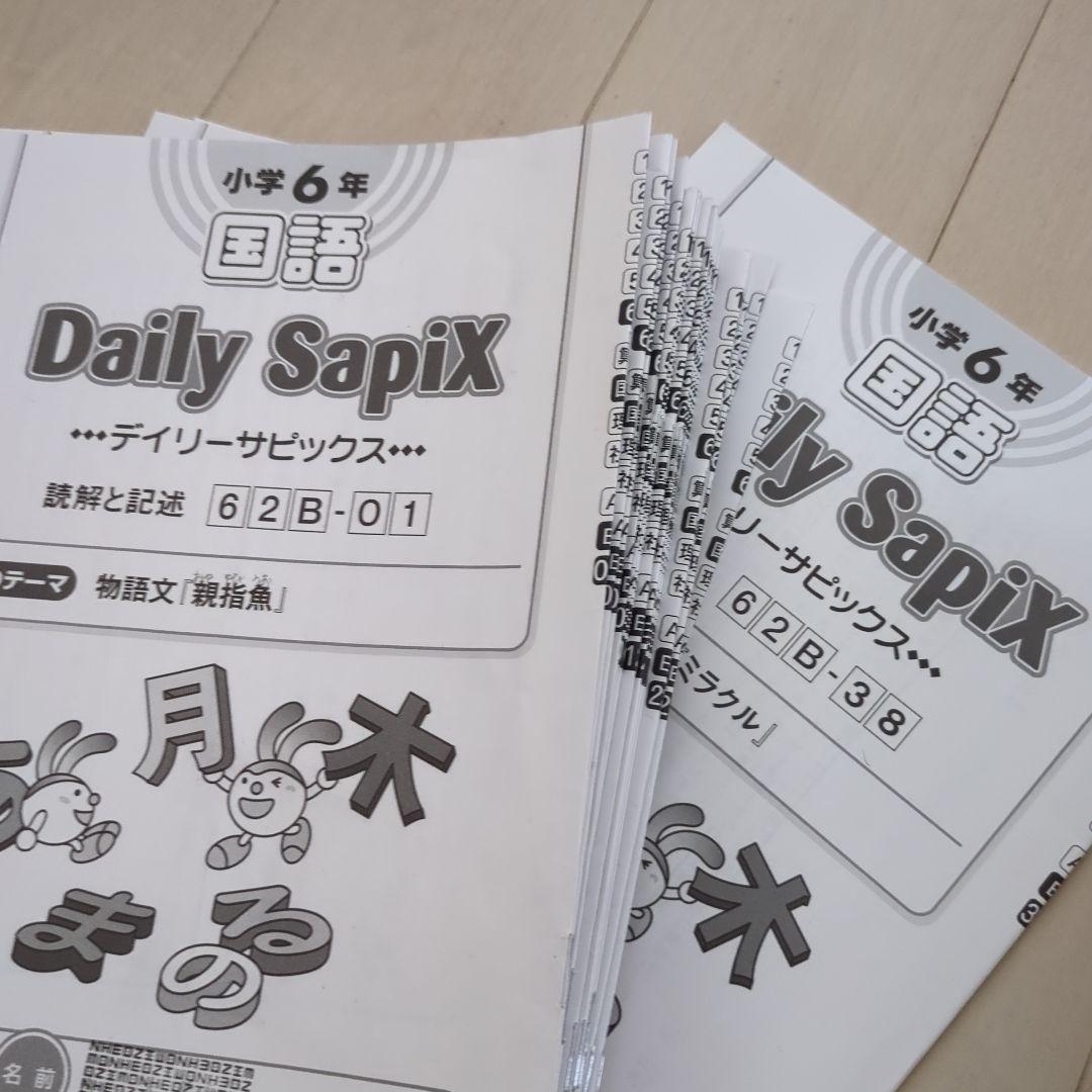 2023年度 小学6年 国語 Daily SapiX 国語B サピックス