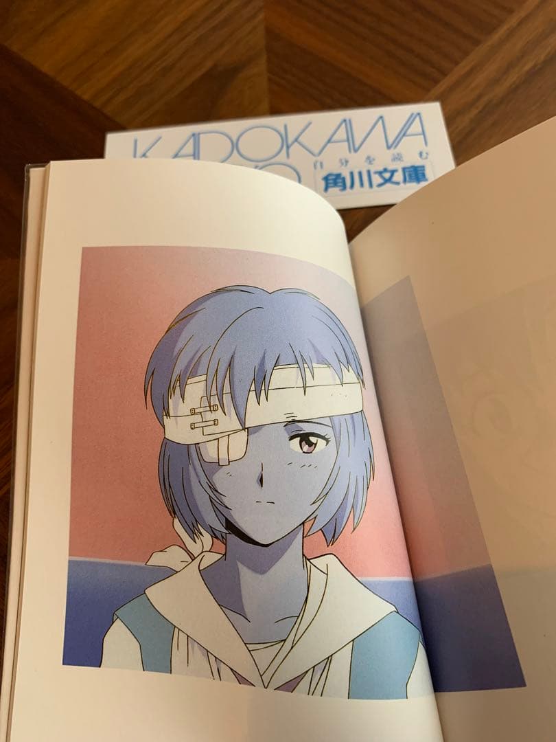 ⭐️エヴァンゲリオン　フォトグラフ　REI