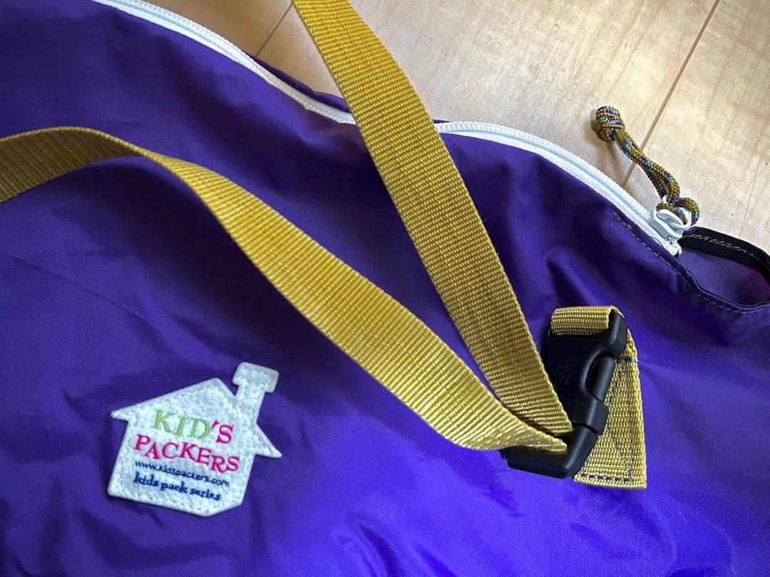 【キャリーケース付】STRIDER PRO 軽量！シルバー