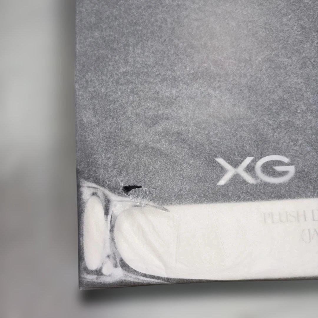 新品未開封　スカルパンダSKULLPANDA XGコラボ POPMART ２個