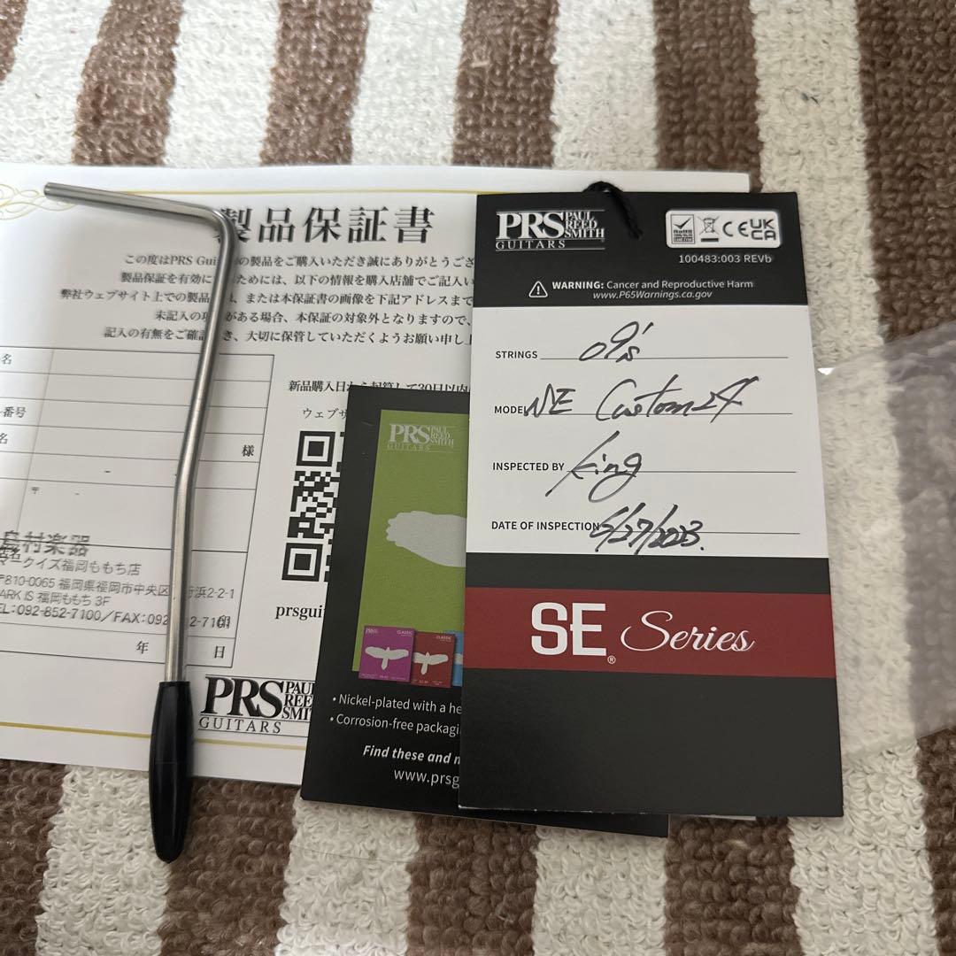 PRS SE Custom24 Gray black ソフトケース付き