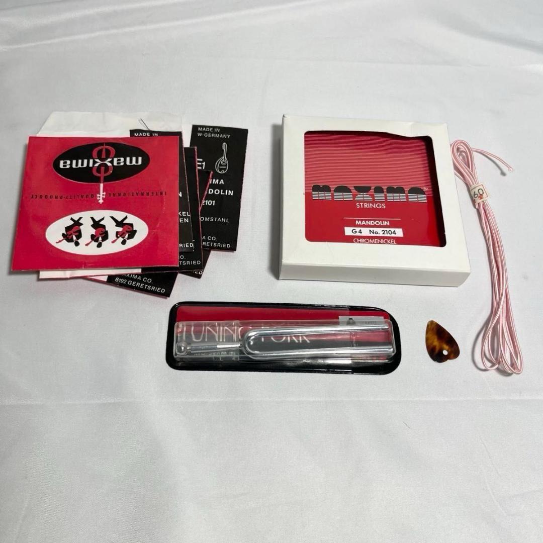 マンドリン　ラファエレ・カラーチェ Type15 raffaele calace