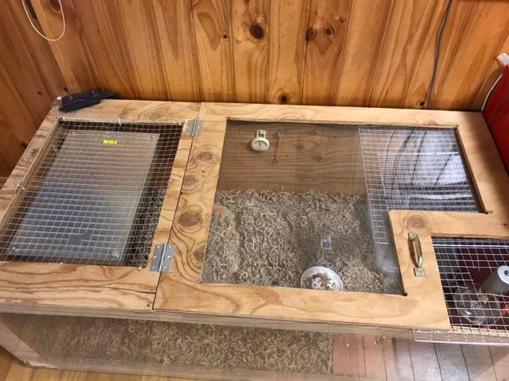 爬虫類、ハムスター、モルモット等 ゲージ作成