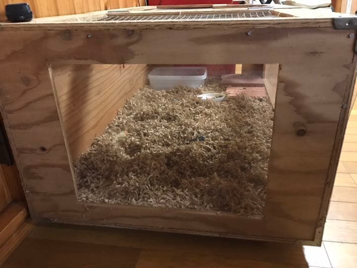 爬虫類、ハムスター、モルモット等 ゲージ作成