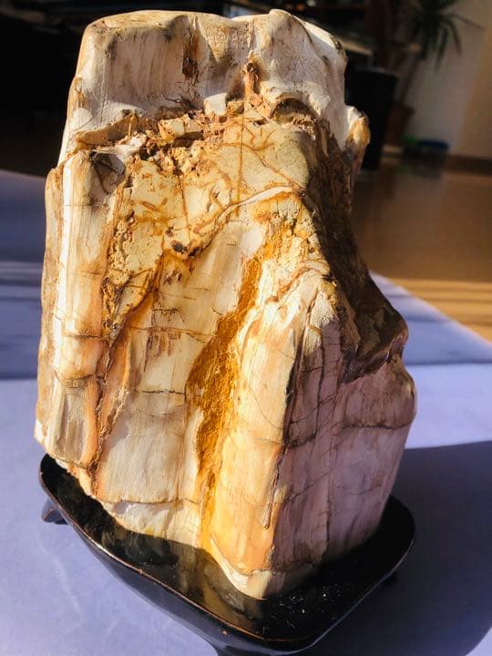 木化石（重さ2120克）珪化木鑑賞石 景石 天然石 台付き 銘石 （2点セット）