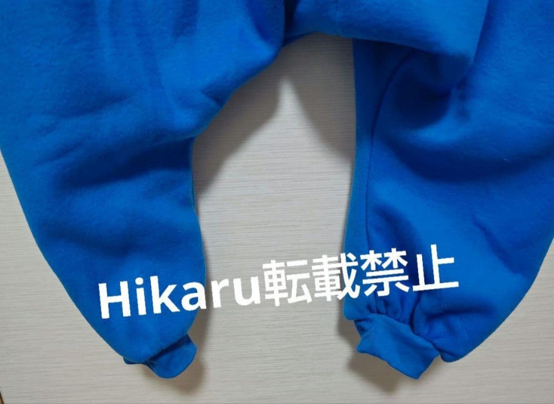 ドンペン　着ぐるみ　ドンコ　着ぐるみ　なりきり　ハロウィン　出し物　イベント