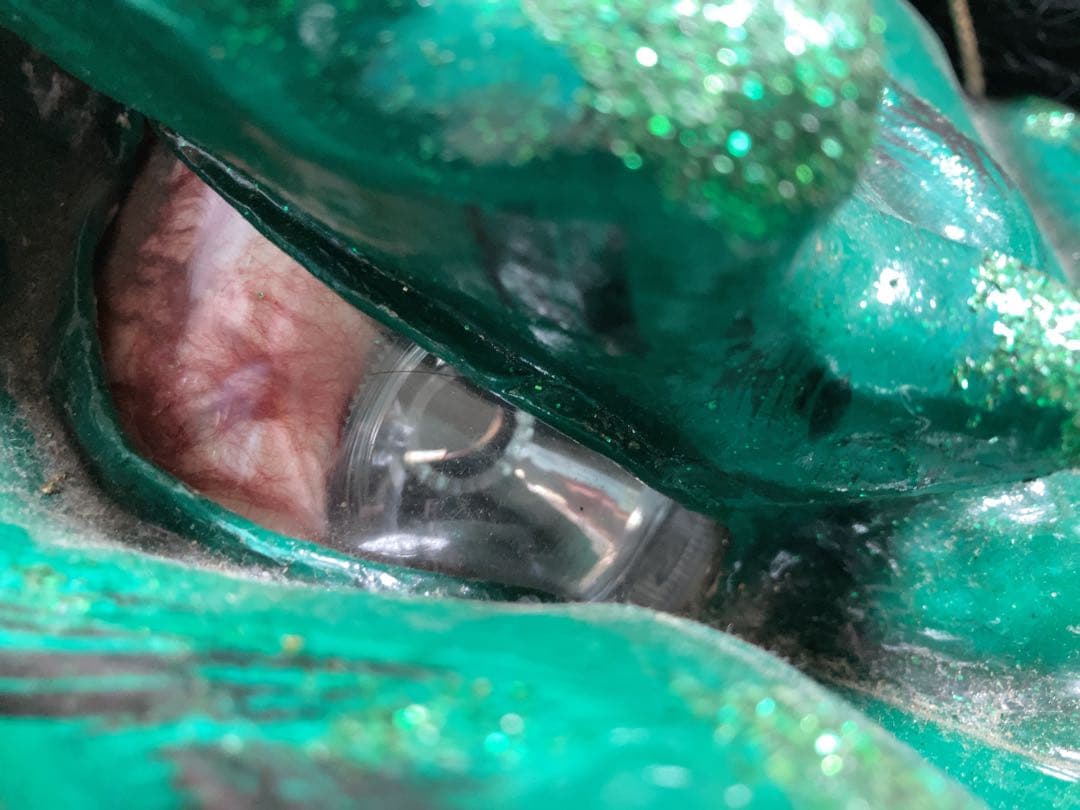 蛇頭　大型・神楽・八岐大蛇・龍