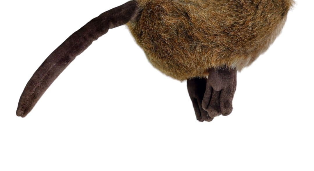 まとめ売り　シュタイフ　ぬいぐるみ　2種　クオッカ　シェパード　犬　プレゼント