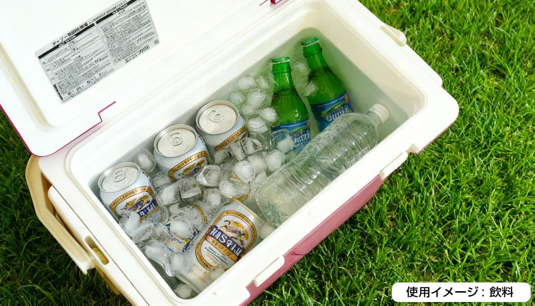 【希少ピンク】DAIWA シークールキャリー GU2500 25L キャスター付