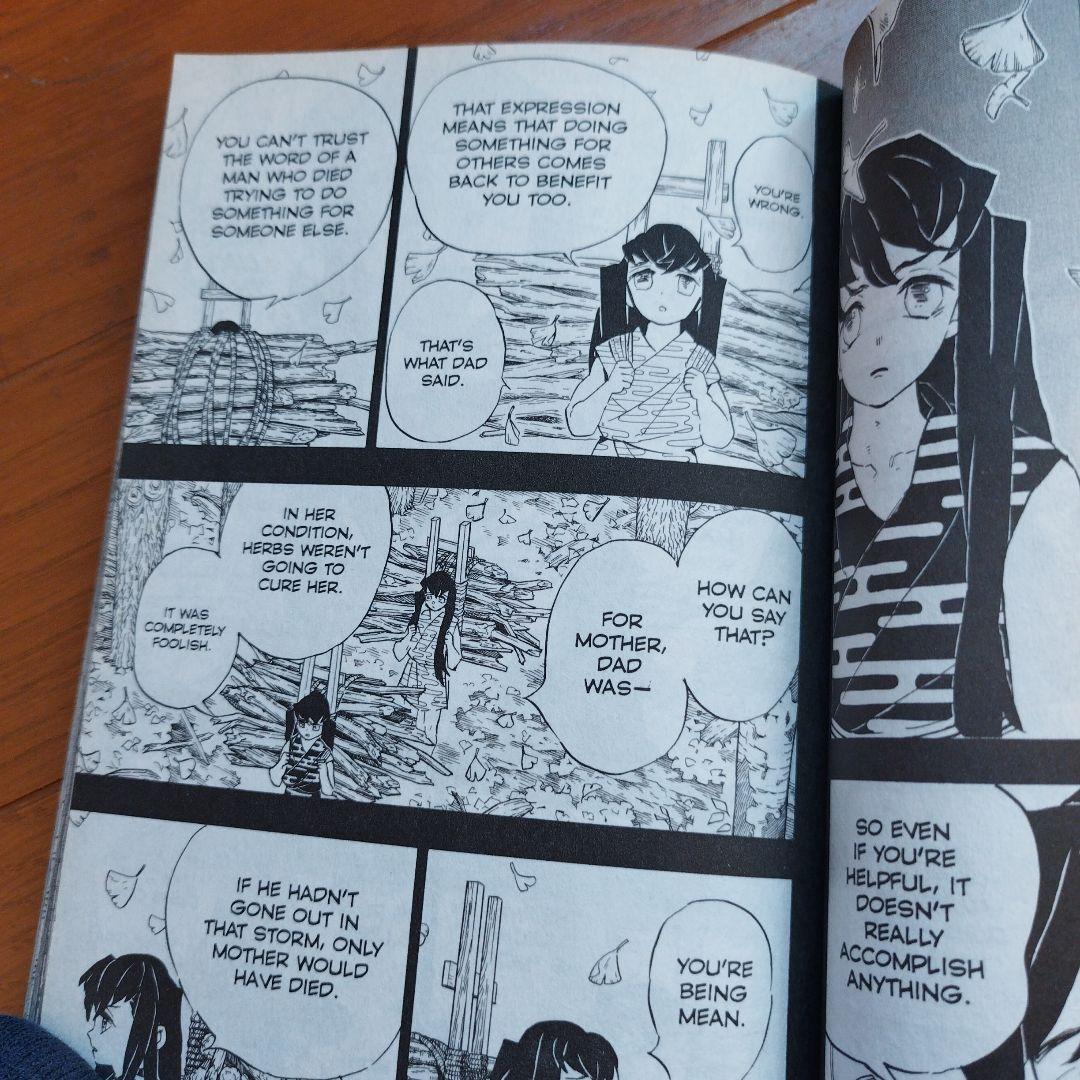 鬼滅の刃漫画本　英語版　２３巻