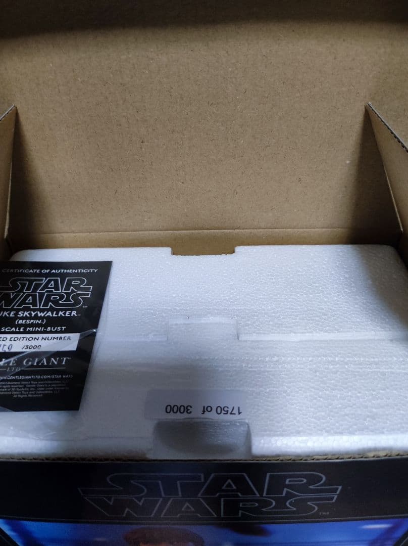 ジェントルジャイアント スターウォーズ ルーク ベスピン ミニバスト 新品未開封
