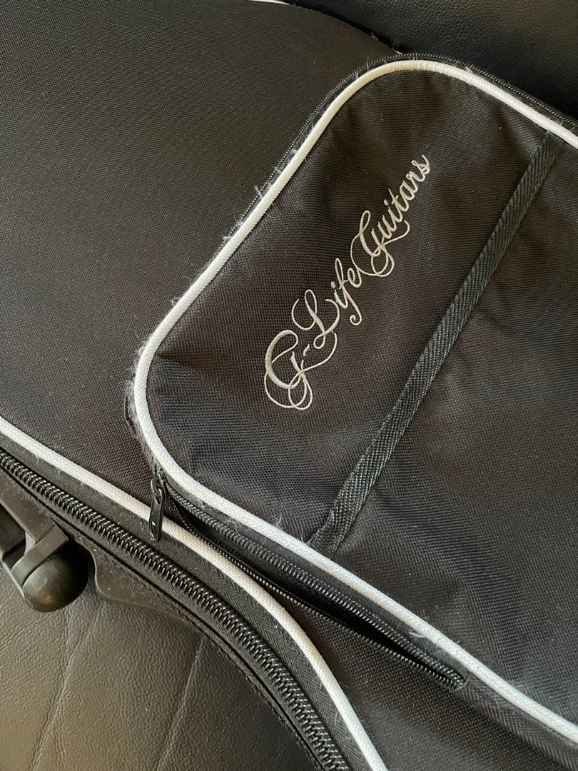 【激レア】G-Life Guitars DSG Classic ロイヤルブルー