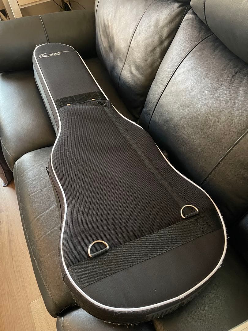 【激レア】G-Life Guitars DSG Classic ロイヤルブルー