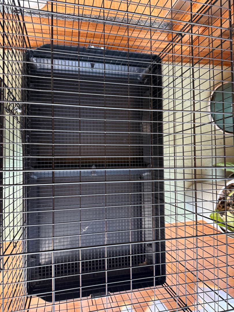 イージーホーム80フェレット