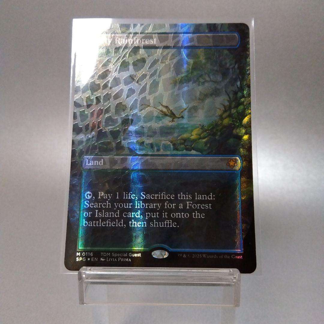 霧深い雨林 英語版 ドラゴンスケイル・Foil