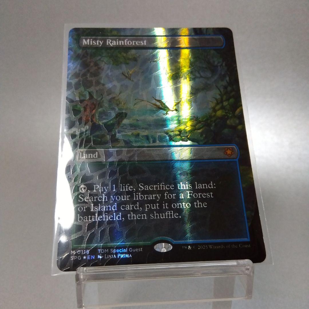 霧深い雨林 英語版 ドラゴンスケイル・Foil