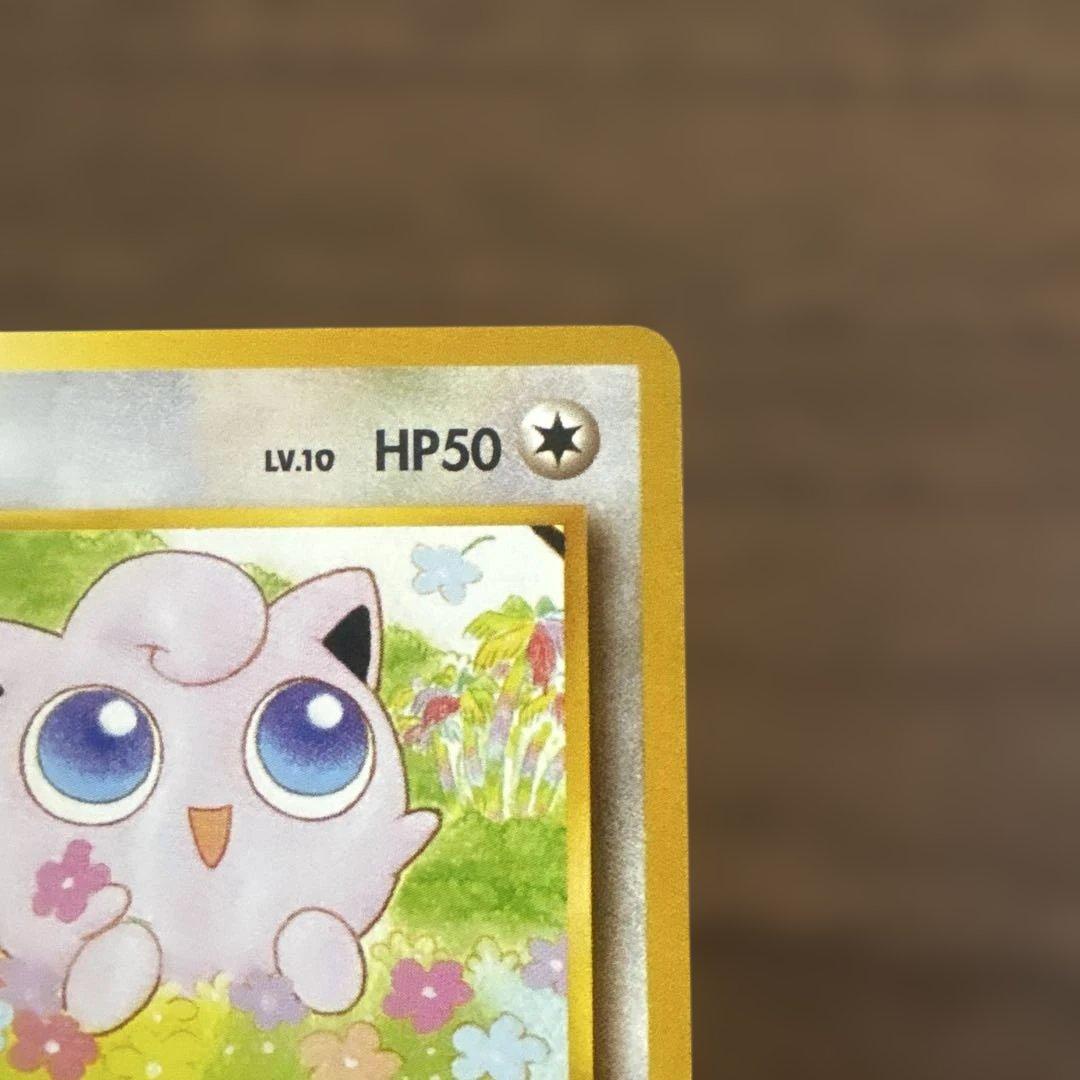 サザンアイランド　お花畑　旧裏ポケモンカード　ポストカードなし