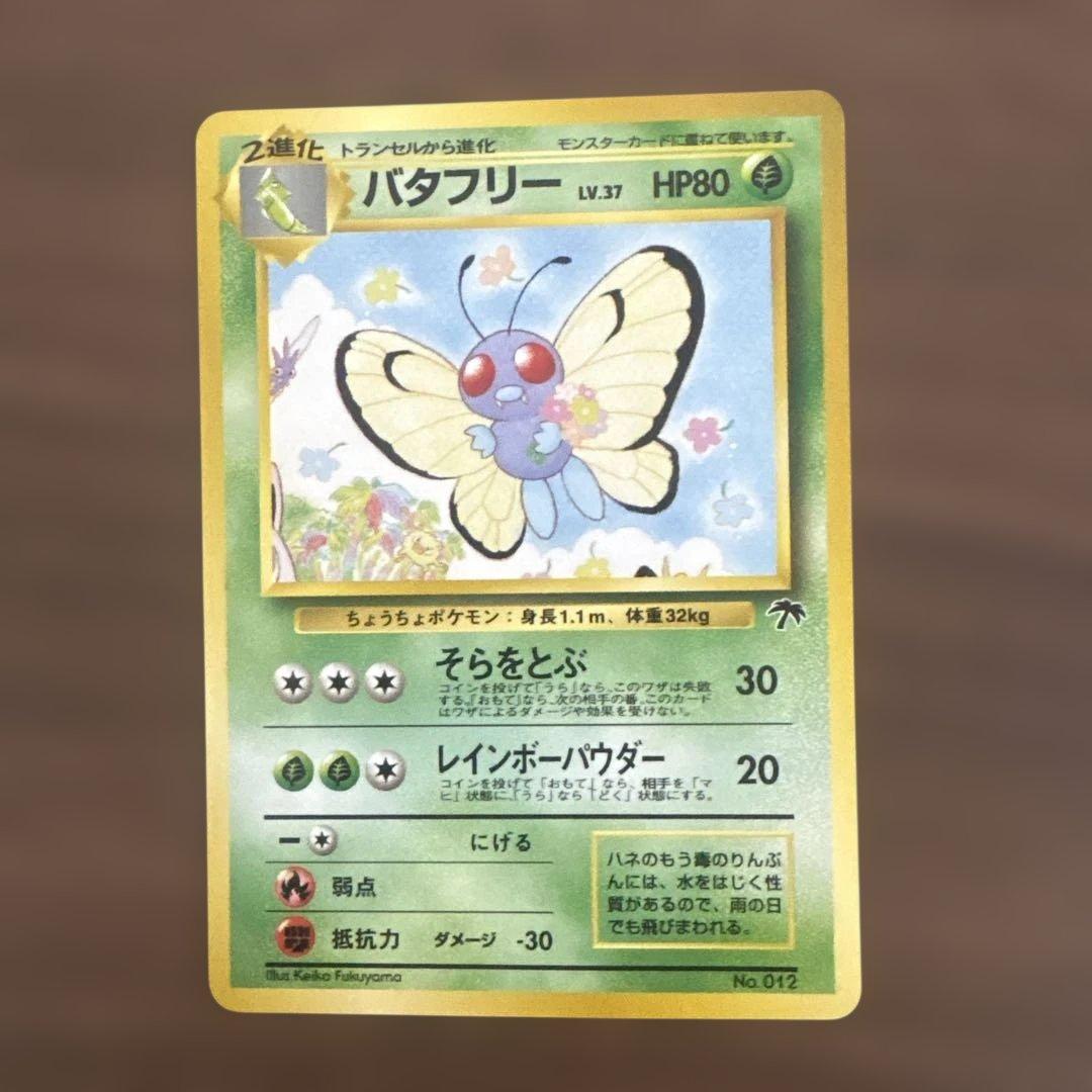 サザンアイランド　お花畑　旧裏ポケモンカード　ポストカードなし