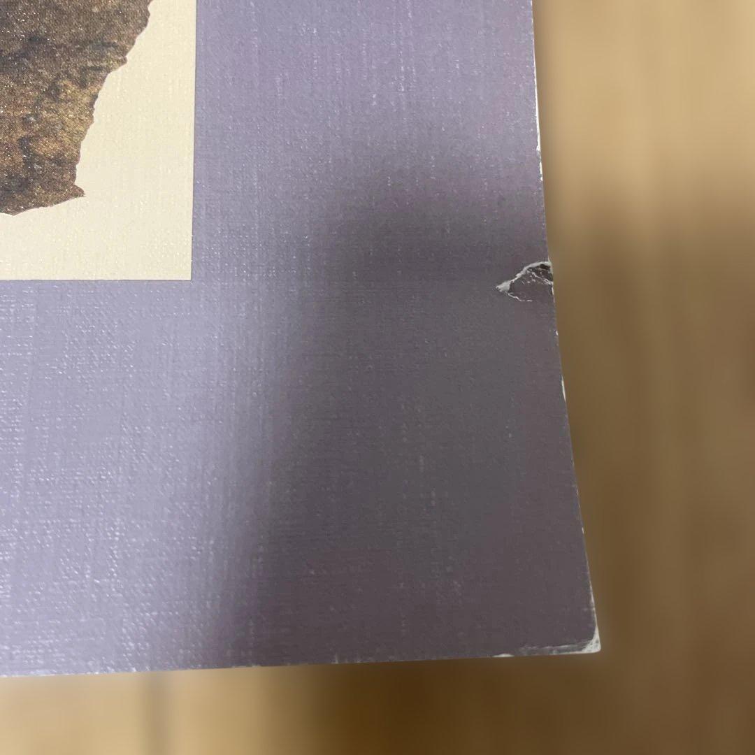 Gérard DI-MACCIO サイボーグアート