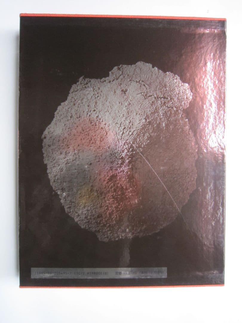 鯉江良二作品集 THE WORKS OF RYOJI KOIE