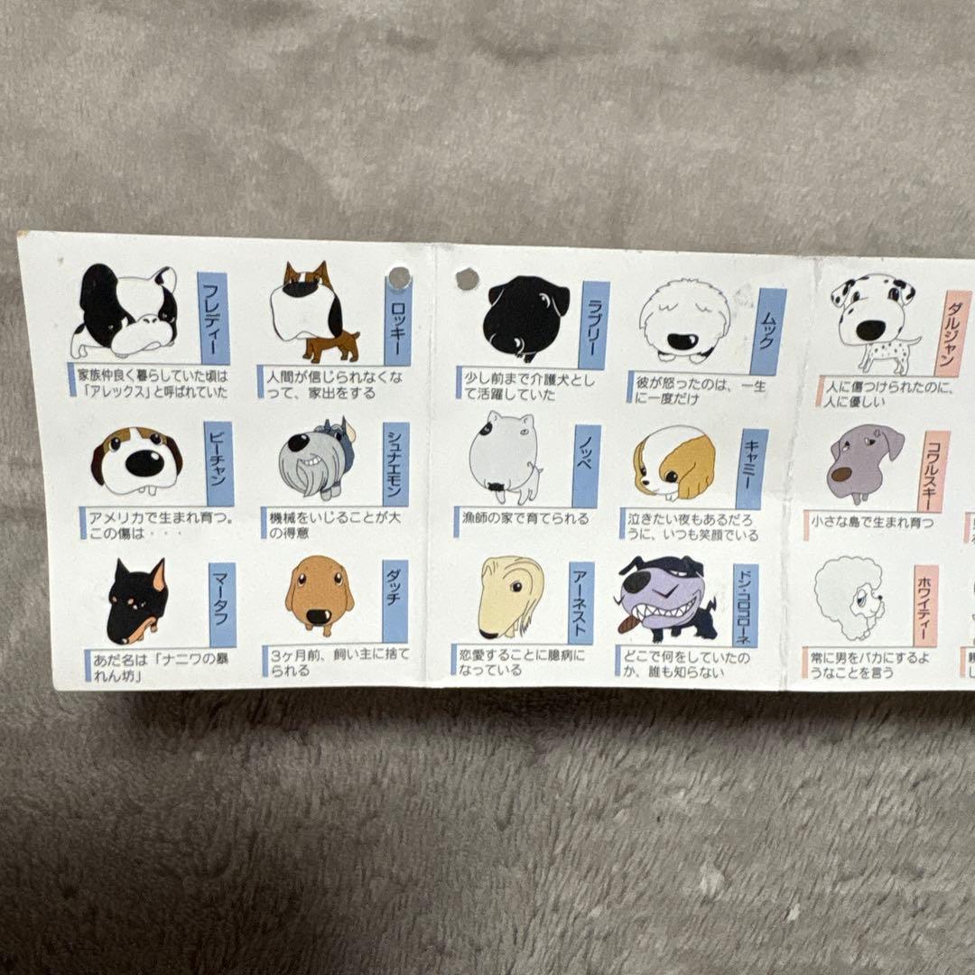 ふぉうちゅんドッグす ぬいぐるみ 犬 BIG 非売品 ラブリー キャミー