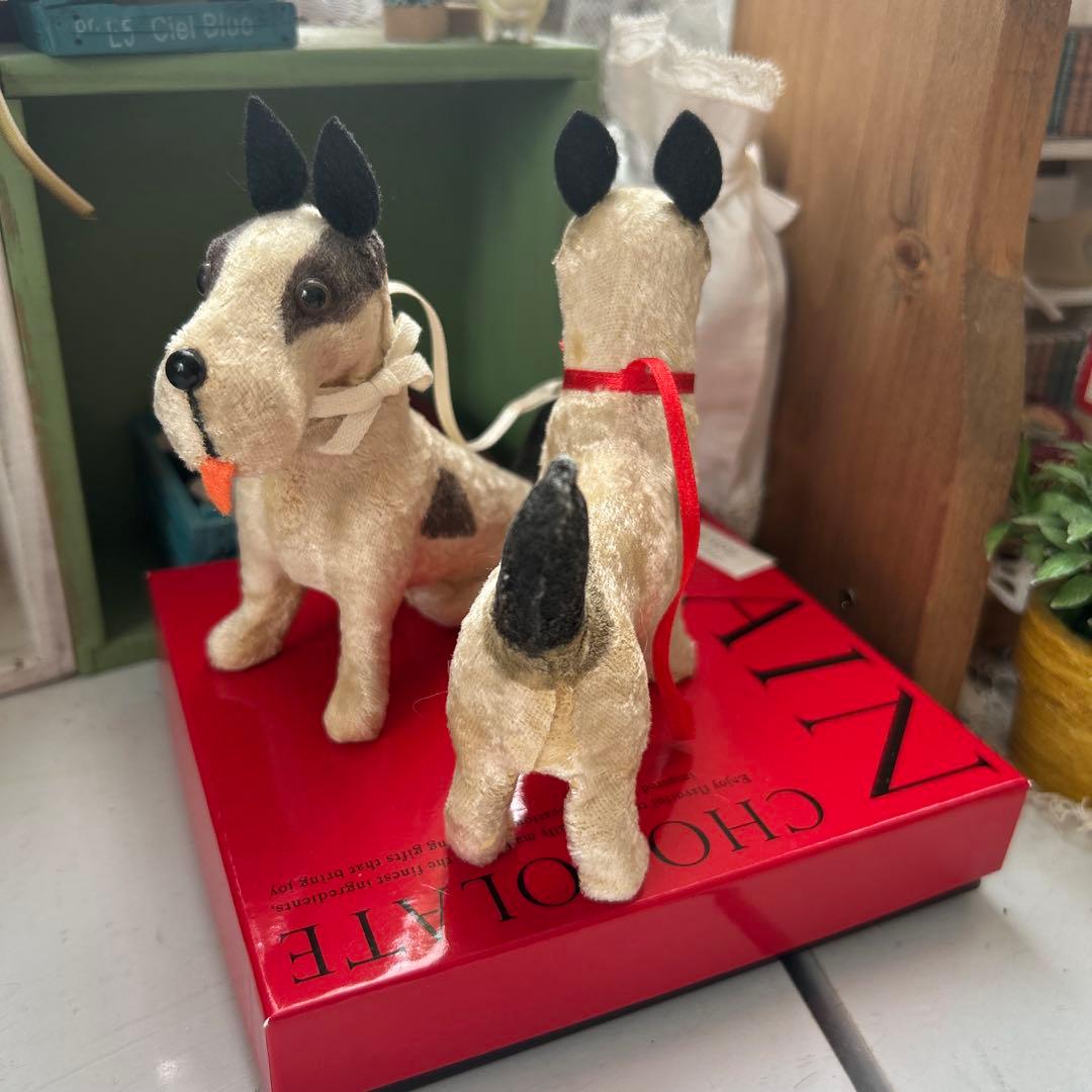 ビンテージフォックステリア