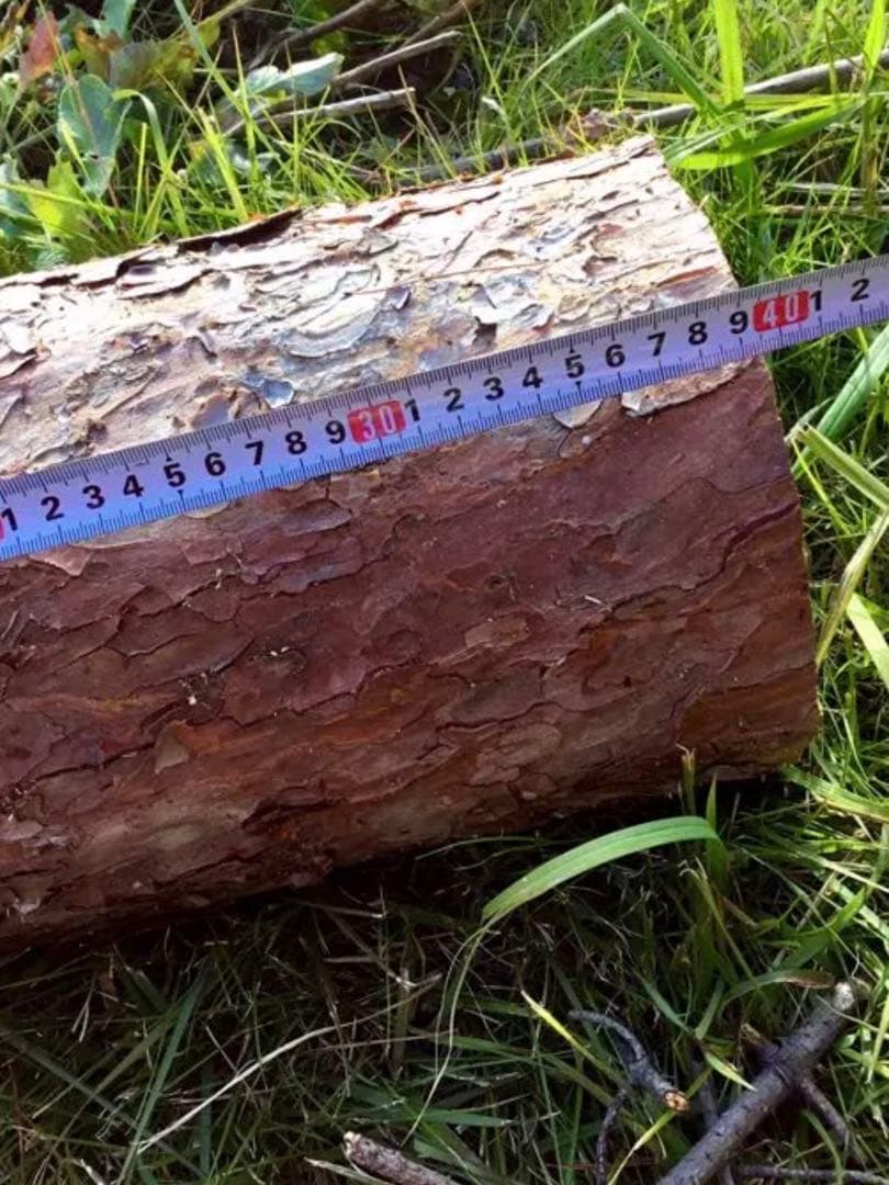 【販売済み】天然赤松/切り株/丸太/原木/薪割り台/椅子/彫刻やDIYなどにも！