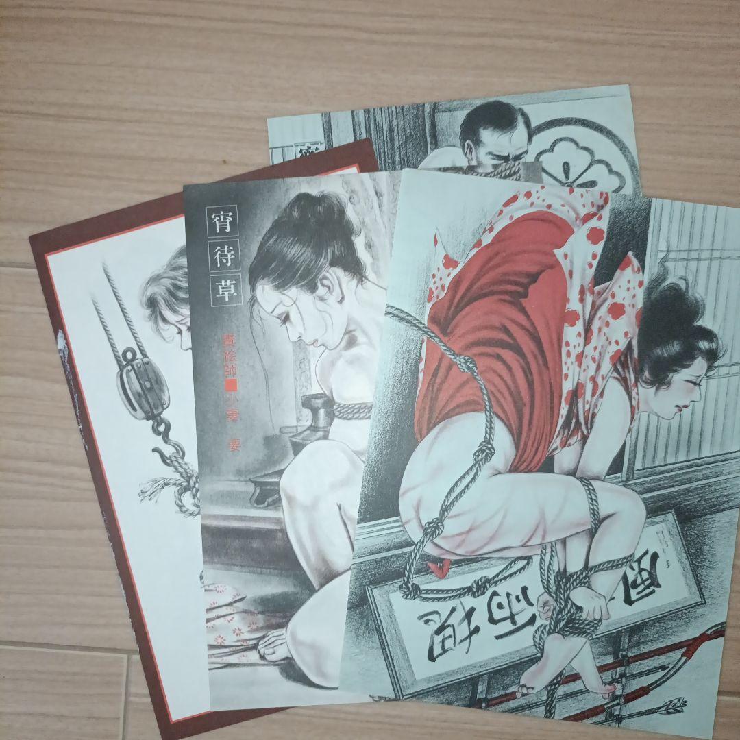小妻容子緊縛画集　おまけ付き