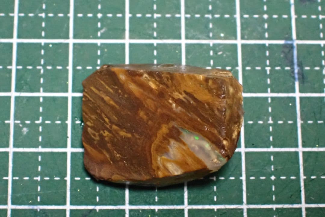 ウッドオパール　原石　オーストラリア　送料無料