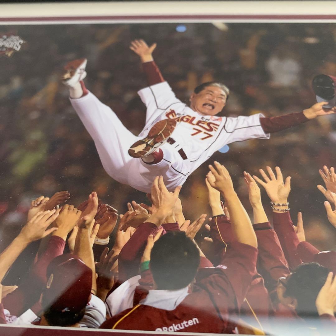東北楽天ゴールデンイーグルス　2013 初優勝　星野監督　胴上げフォトパネル