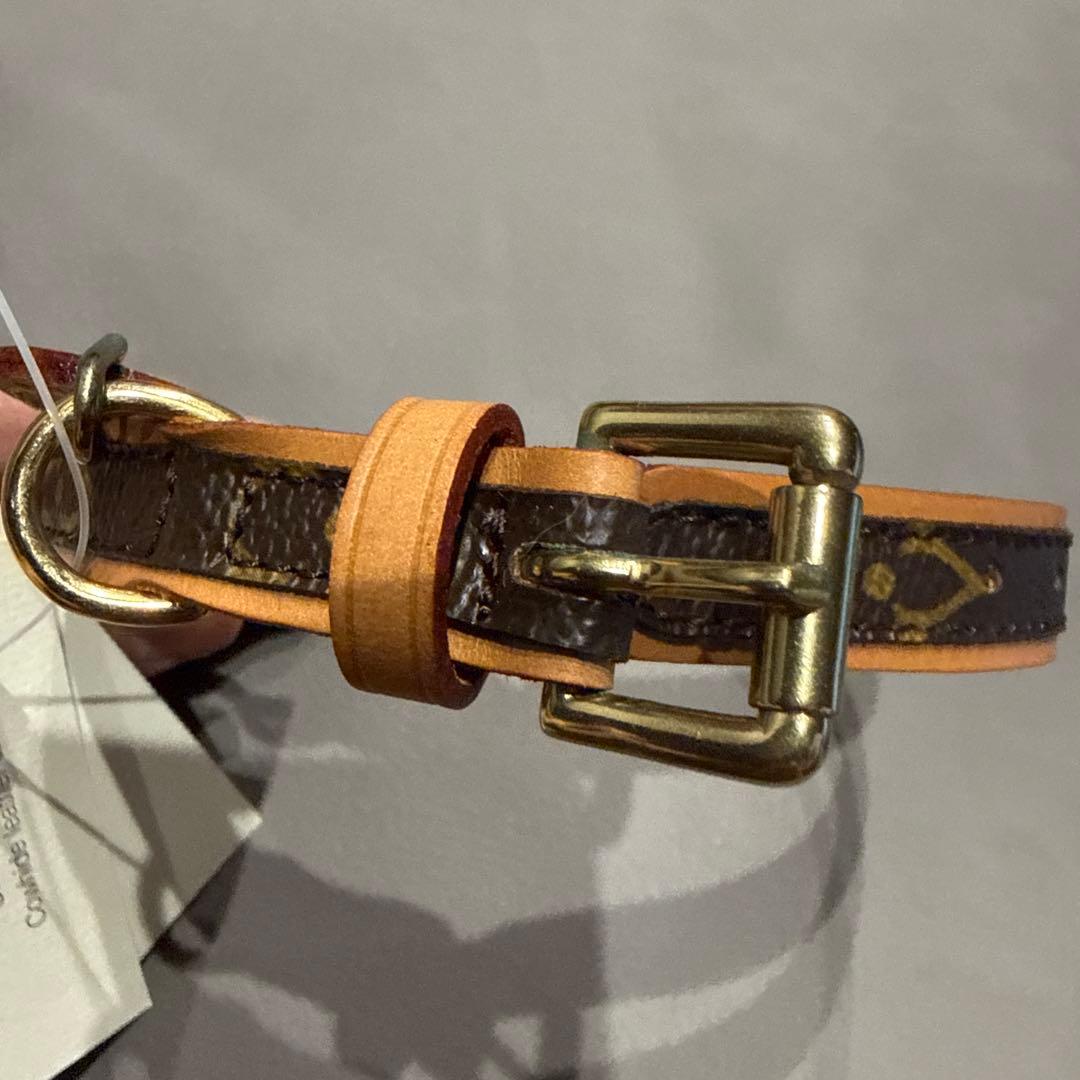 LouisVuitton CollierBaxter PM 首輪小型犬、猫未使用