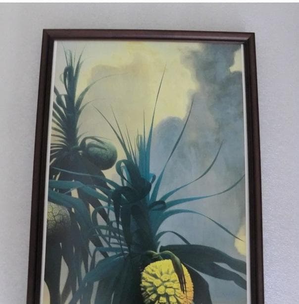 田中一村　額装印刷物　アダンの海辺