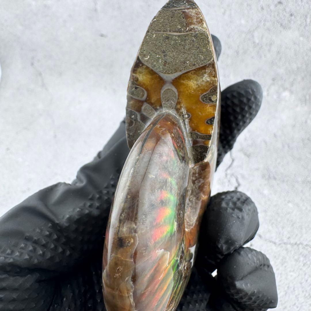 G-76天然アンモナイト原石　游色多色アンモナイト化石 天然石　コレクション標本