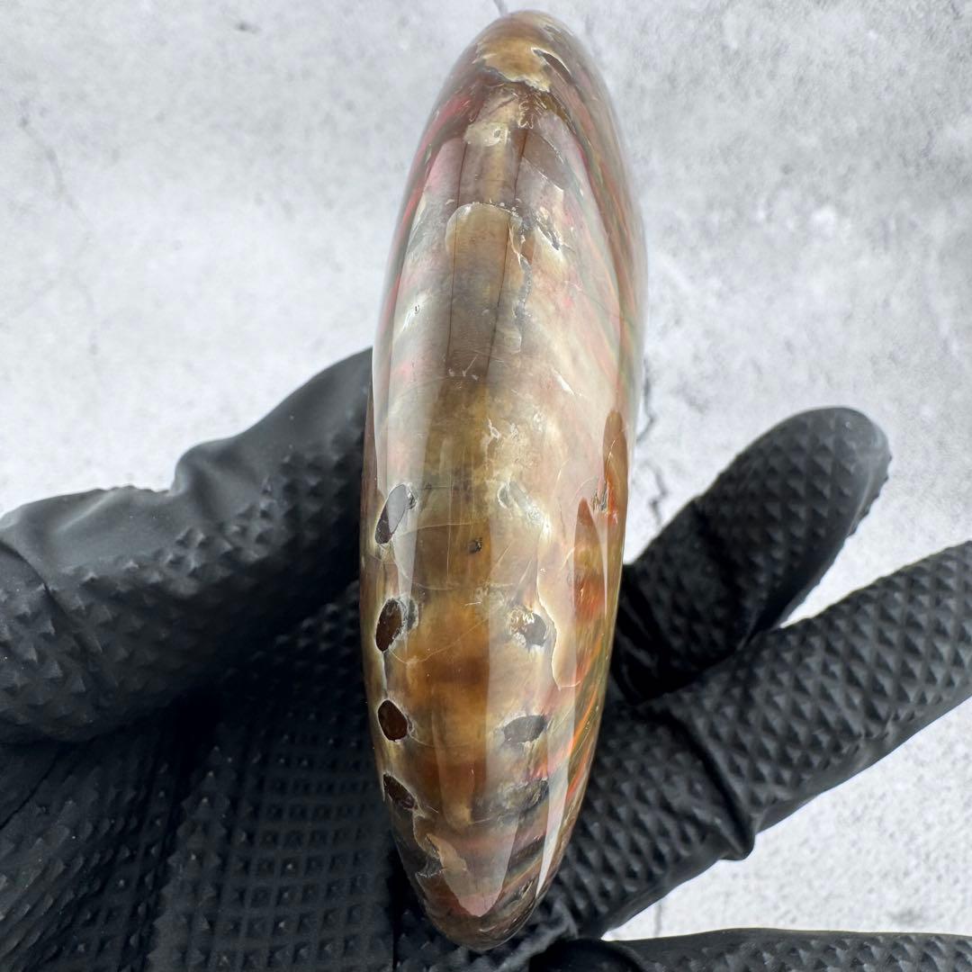 G-76天然アンモナイト原石　游色多色アンモナイト化石 天然石　コレクション標本