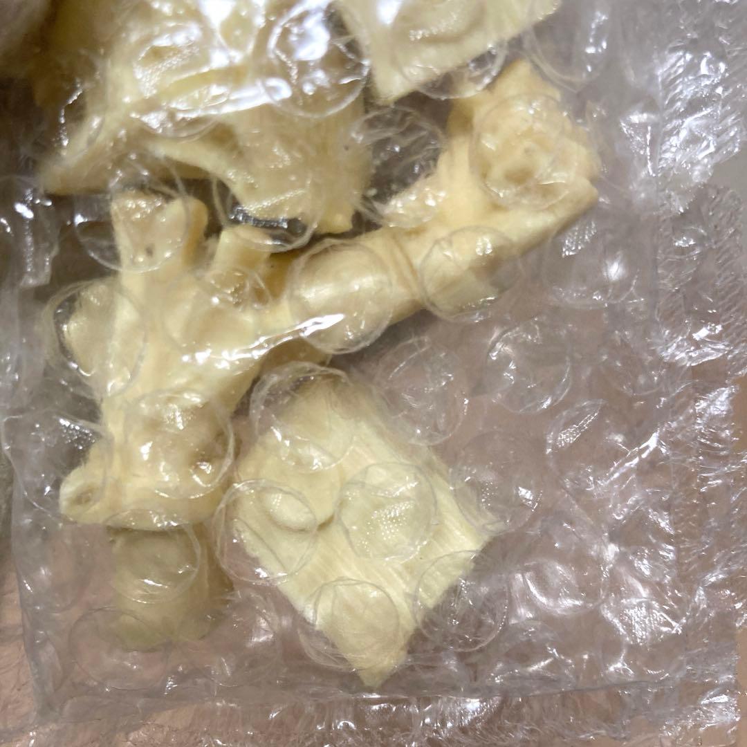 フランケンシュタイン　ガレージキット　フィギュア Frankenstein