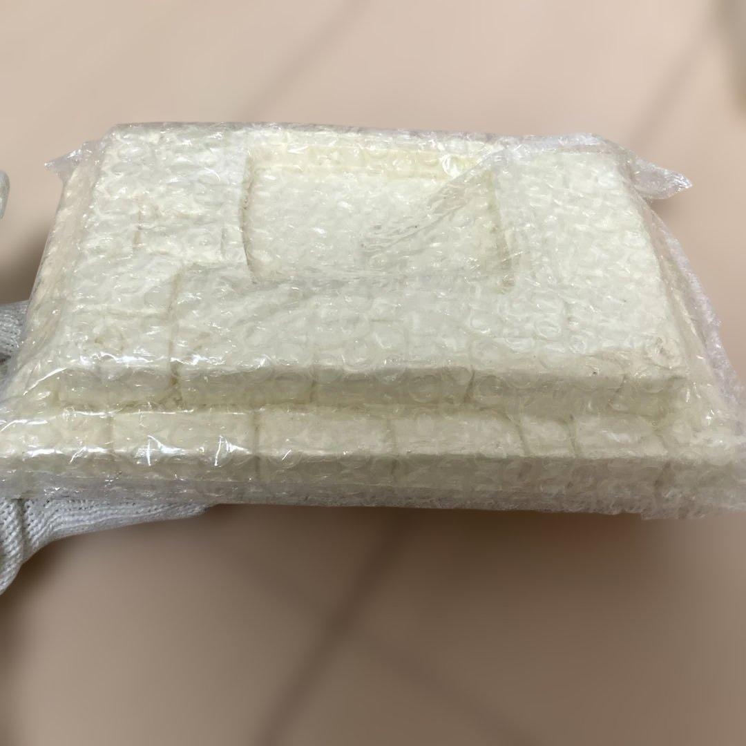 フランケンシュタイン　ガレージキット　フィギュア Frankenstein