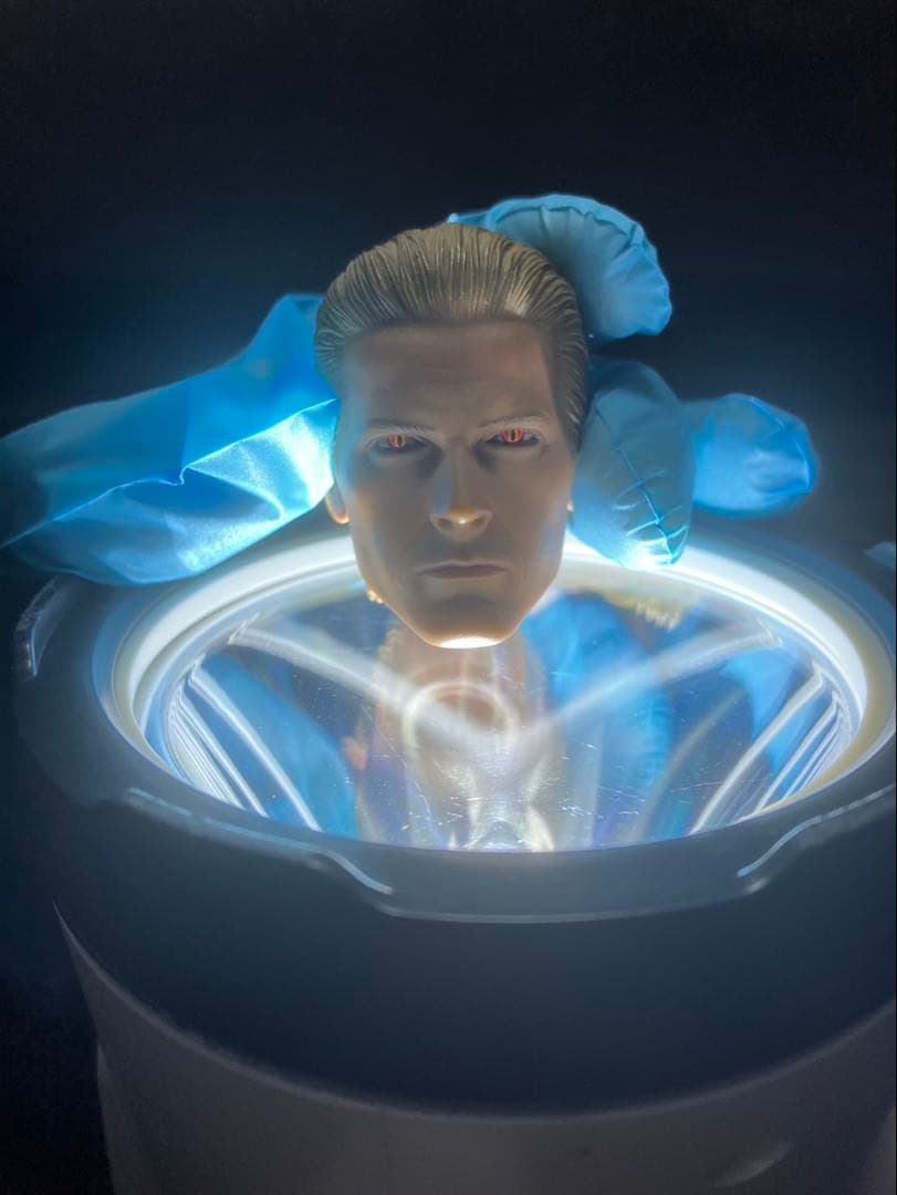 1/6 ホットトイズ　ウェスカー　ヘッド　中古