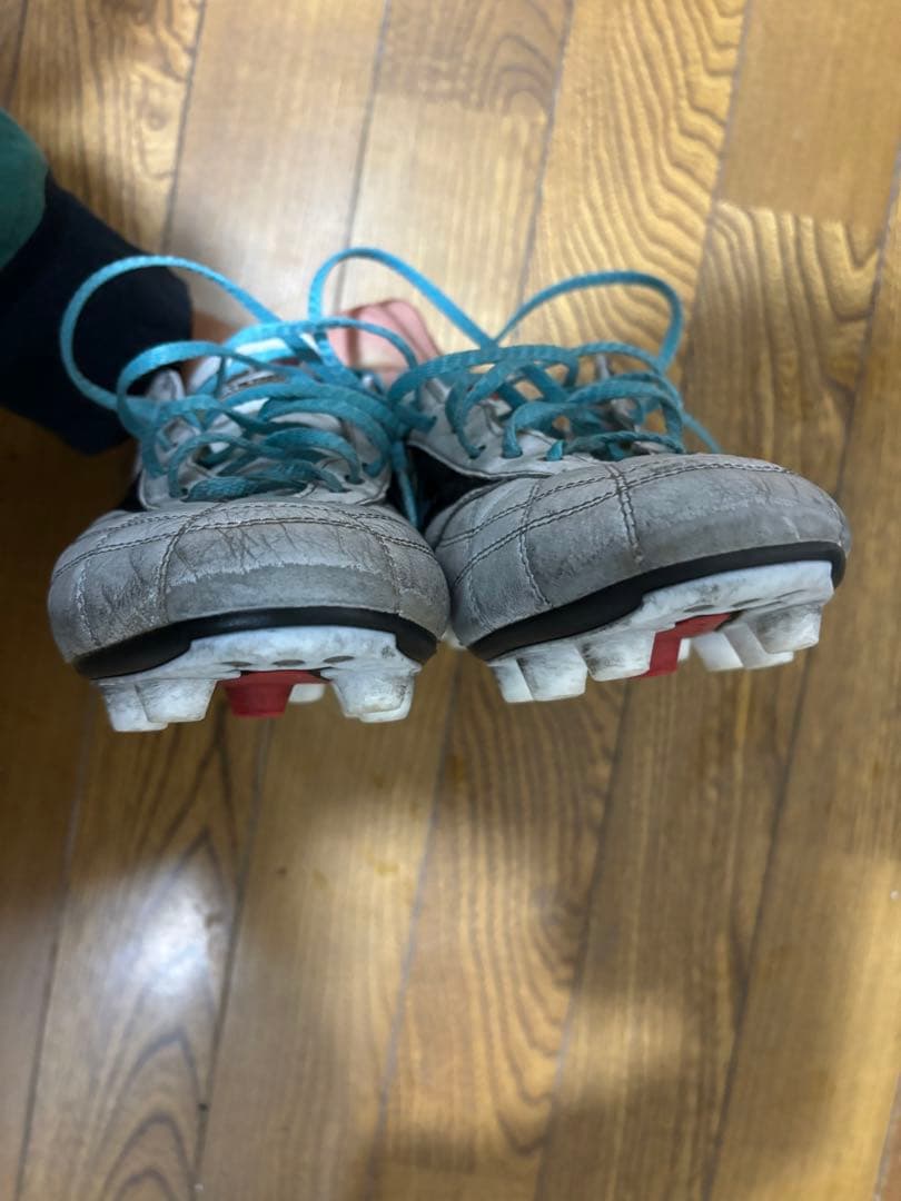 Mizuno モレリアⅡ JAPAN AG 25cm