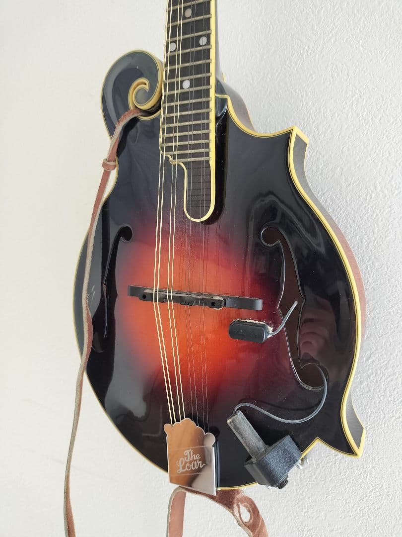 The Loar フラットマンドリン