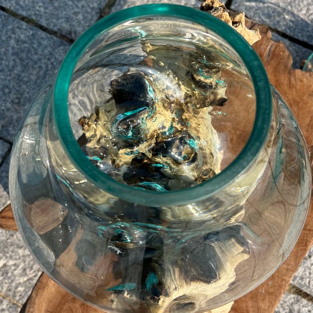 超超特大流木ガラスオブジェWB 花瓶 金魚鉢 水槽 苔リウム メダカ容器 超大型