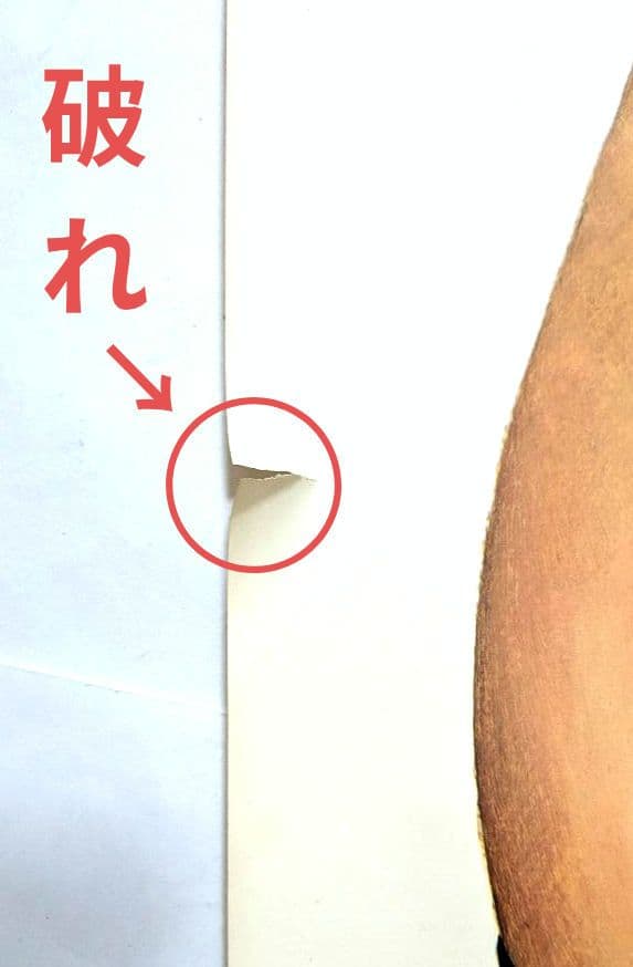 アメコミ VAMPIRELLA 1972年 米国製 等身大ポスター 中古品