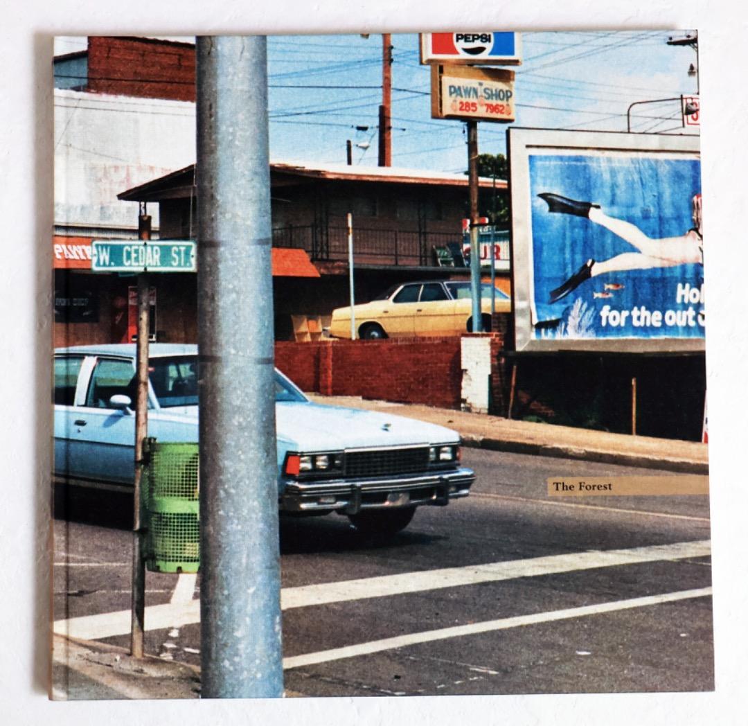 William Eggleston（The Democratic Forest）