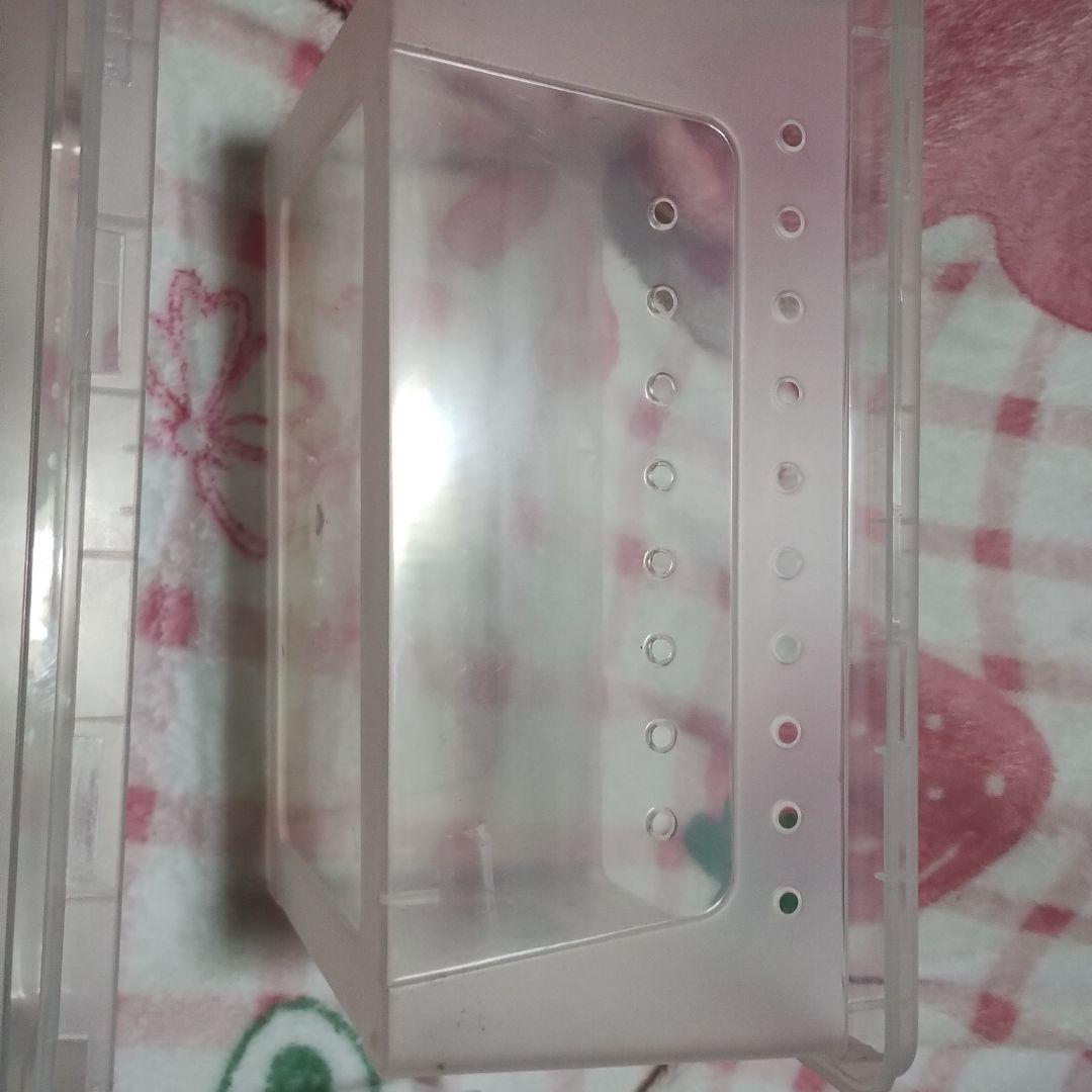 爬虫類・両生類用飼育ケージセット