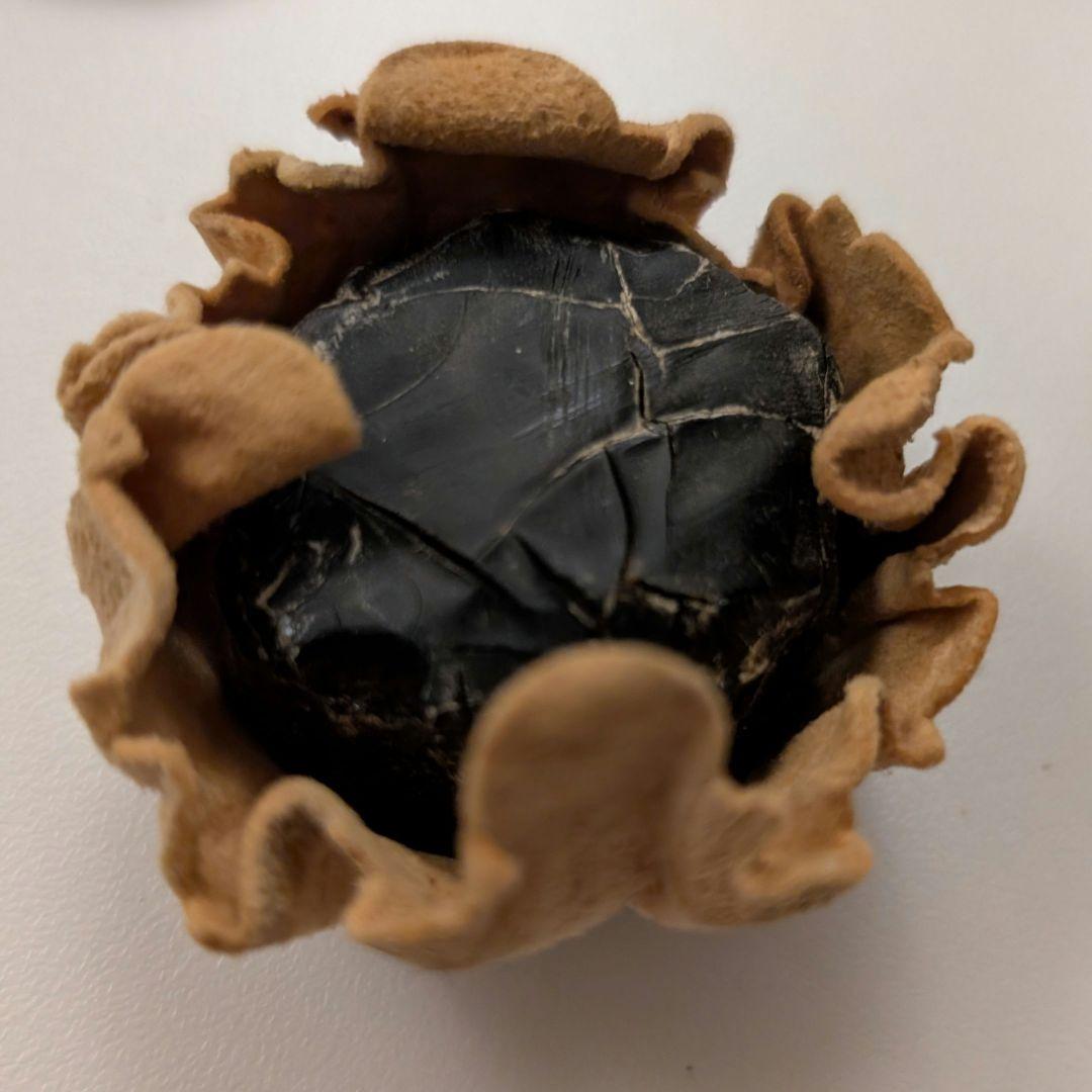 【松脂】フランス製 ミラン Millant 猫缶 デッドストック ビンテージ