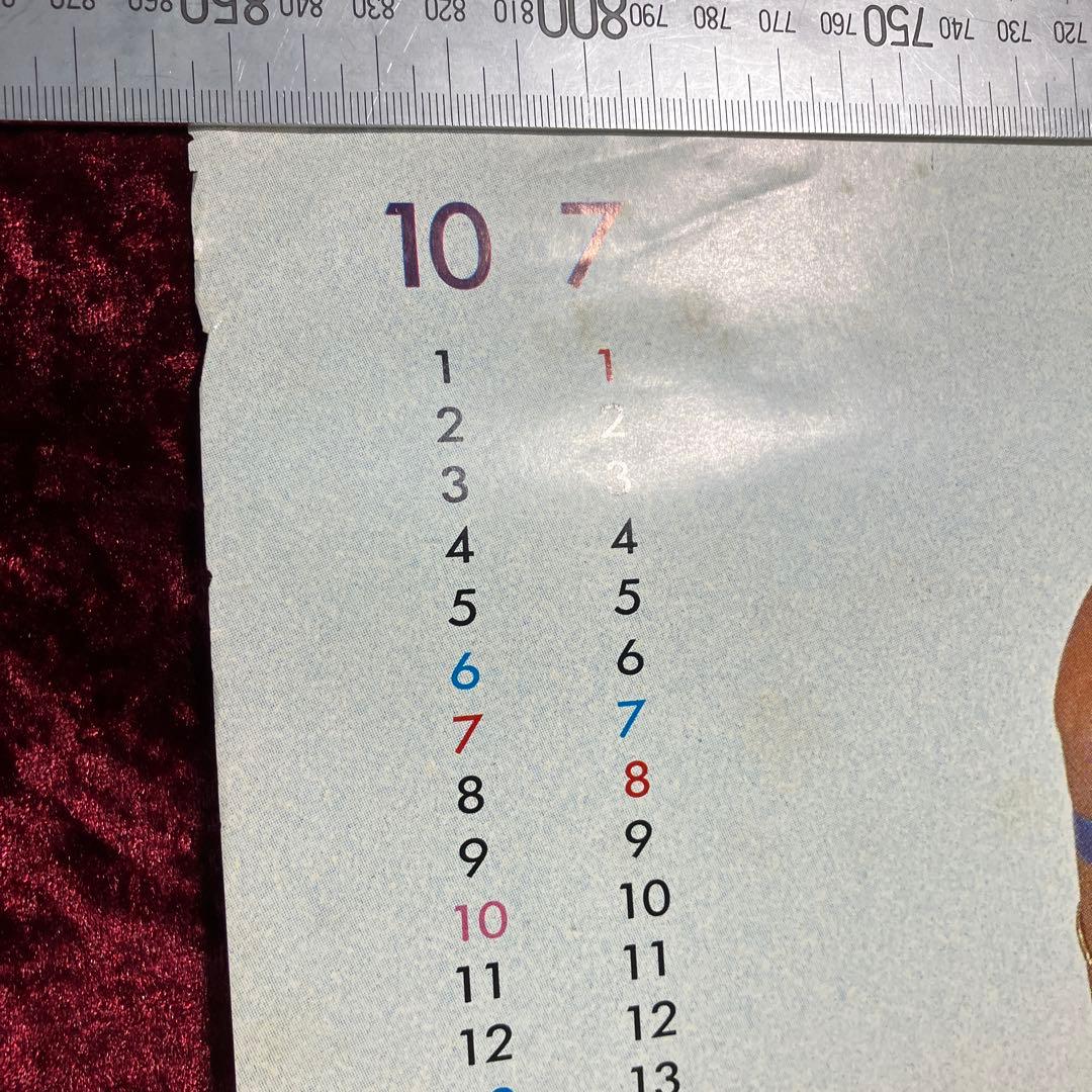 ピンクレディー　シャワラン ビューティ シャンプー & リンス ポスター