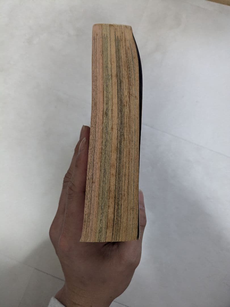 ANIMAL HOUSE 1992年4月号 ベルセルク　お知らせページ有り