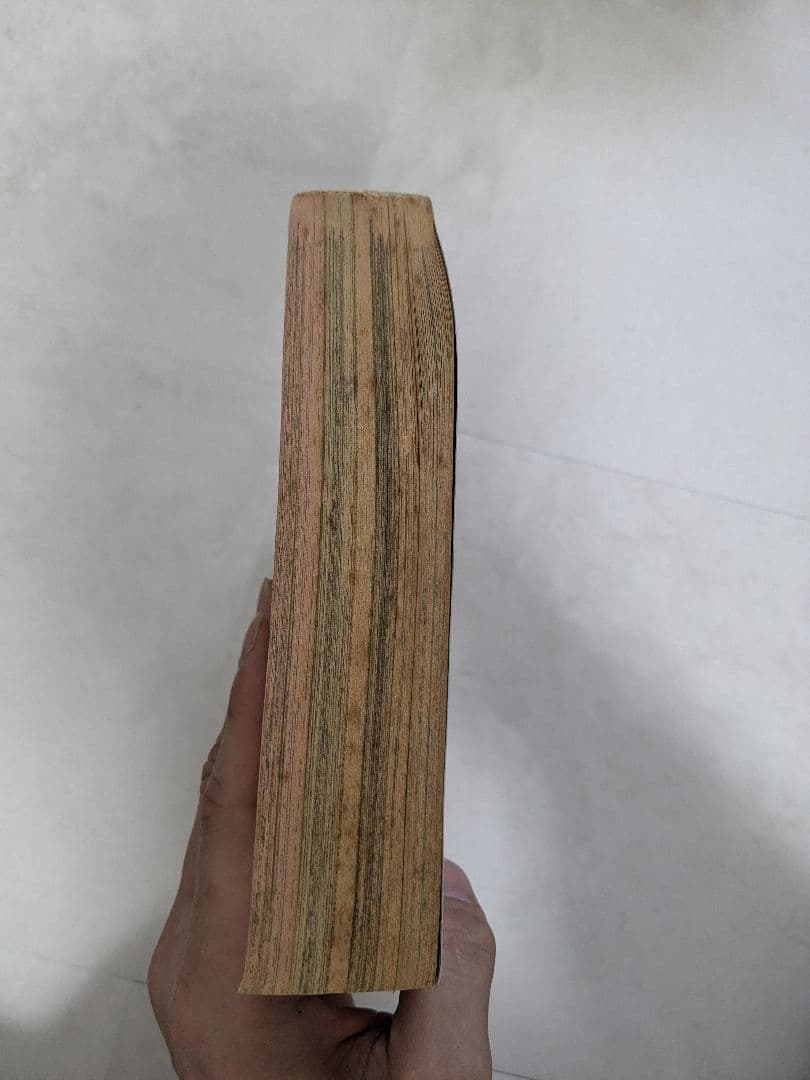 ANIMAL HOUSE 1992年4月号 ベルセルク　お知らせページ有り